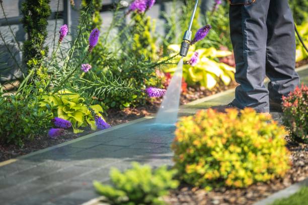 Best Pool Deck Cleaning  in Pleasant Hill, IA